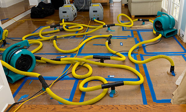 Professional Water Extraction technician working in Covina, CA
